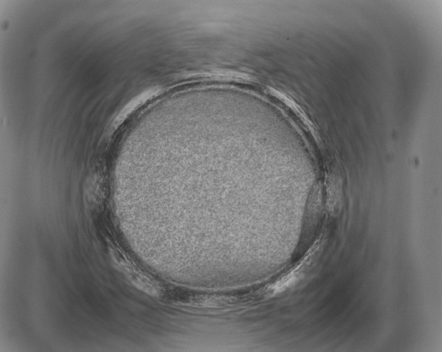 X0000085051163200703191251