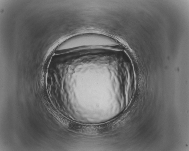 X0000085051167200703191251