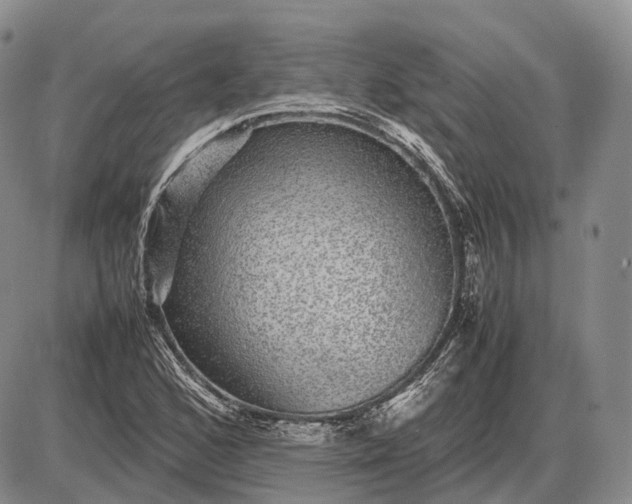 X0000085051168200703191251