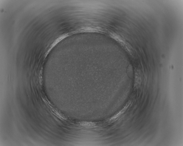 X0000085051170200703191251