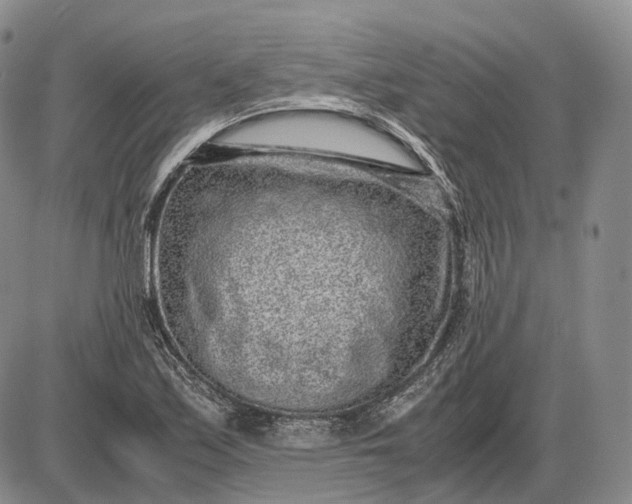 X0000085051171200703191251