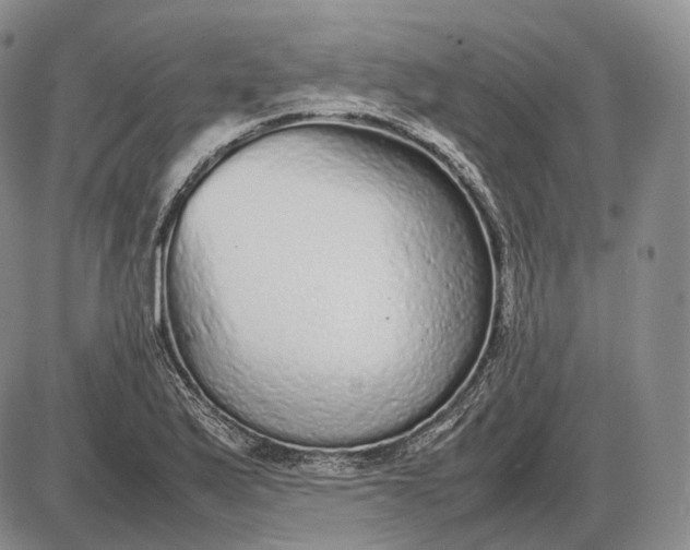 X0000085051175200703191251