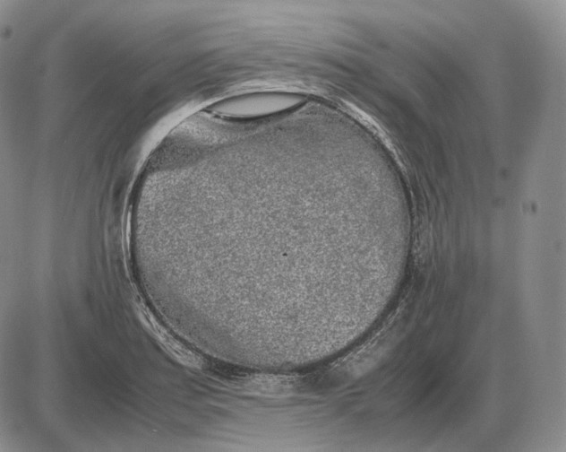 X0000085051179200703191251