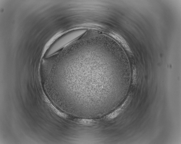 X0000085051180200703191251