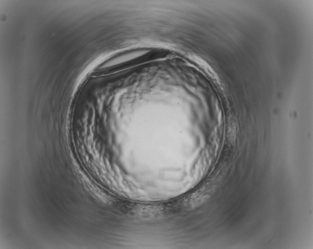X0000085051183200703191251