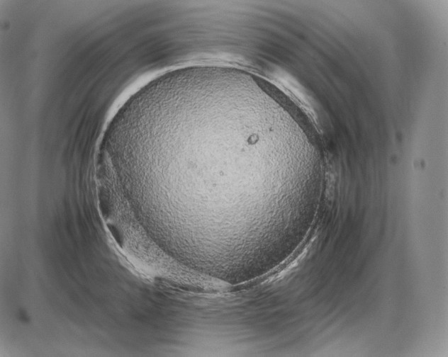 X0000085051192200703191251