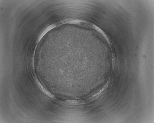 X0000085051194200703191251