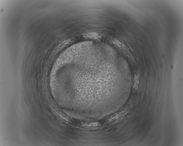 X0000085051201200703191250