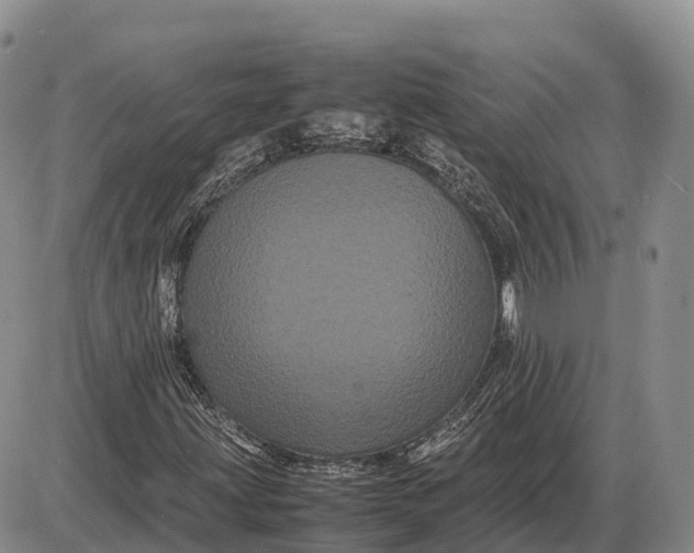 X0000085051203200703191250