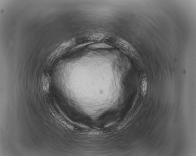 X0000085051204200703191250