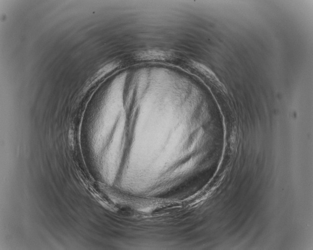 X0000085051209200703191250