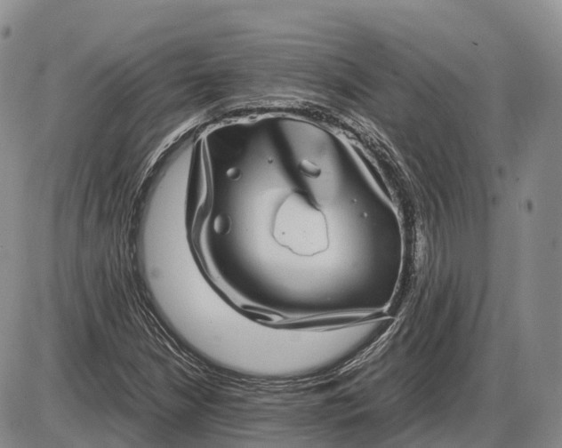 X0000085051210200703191250