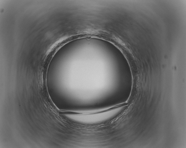 X0000085051214200703191250