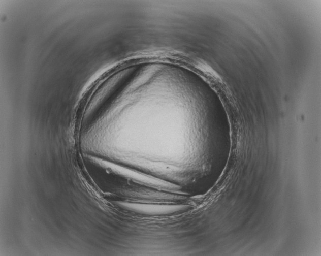 X0000085051216200703191250
