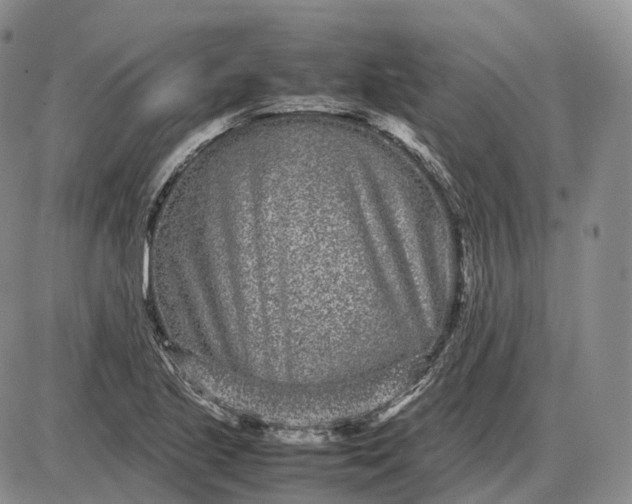 X0000085051221200703191250