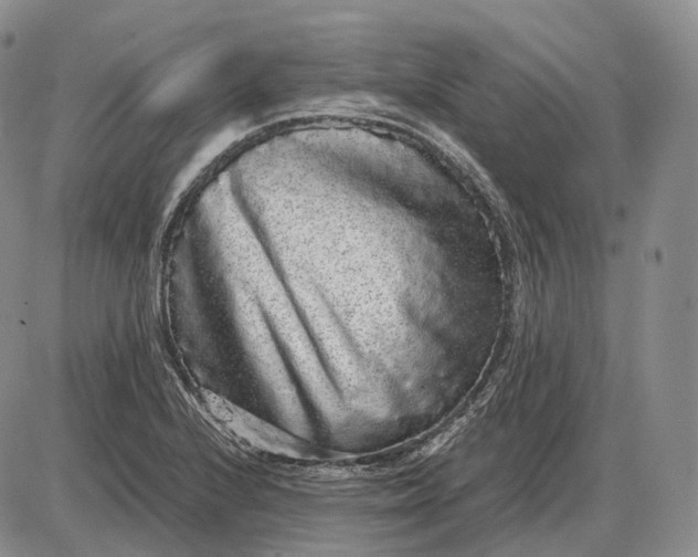 X0000085051224200703191250