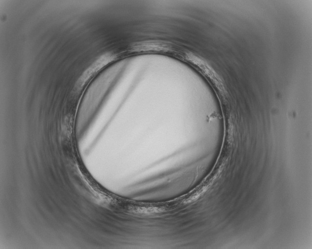 X0000085051233200703191250
