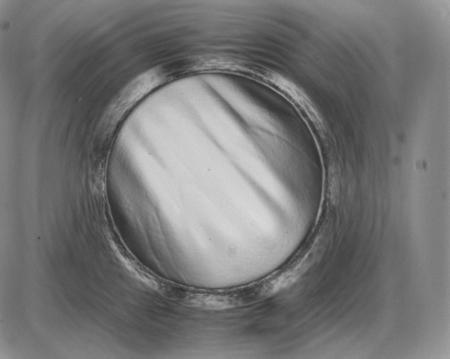X0000085051241200703191250