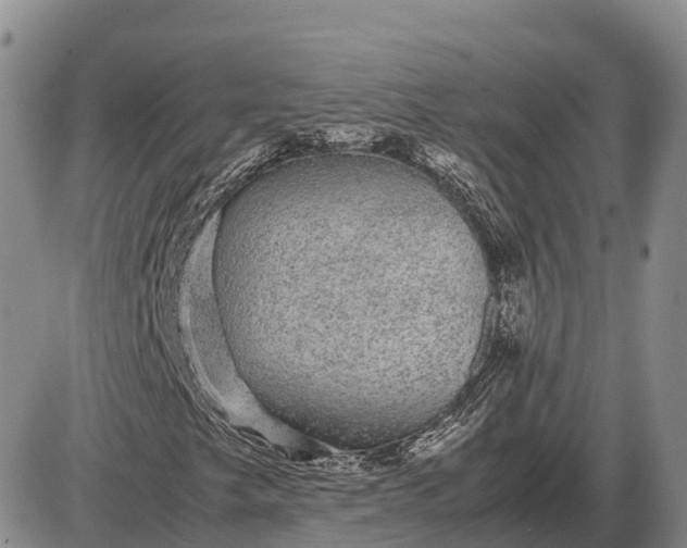 X0000085051249200703191250