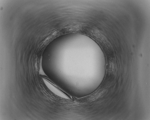 X0000085051250200703191250