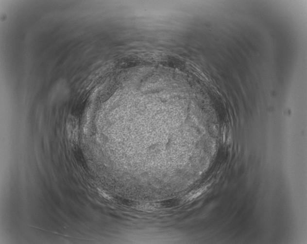 X0000085051251200703191250