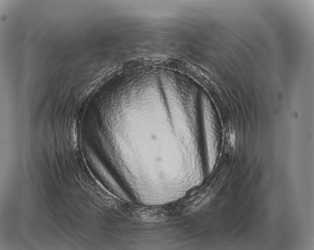 X0000085051252200703191250