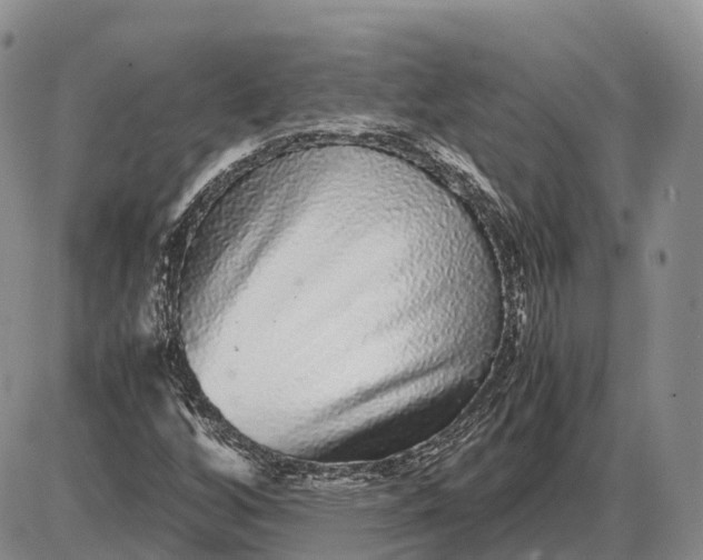 X0000085051256200703191250