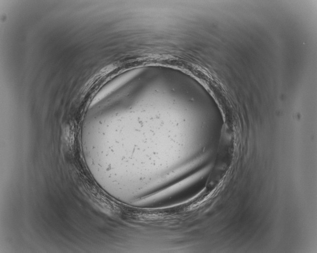 X0000085051257200703191250