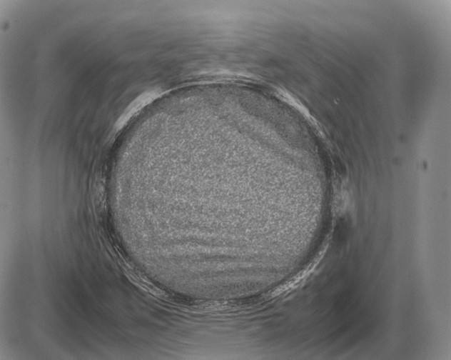X0000085051259200703191250