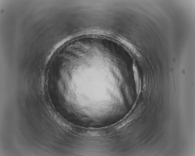 X0000085051264200703191250
