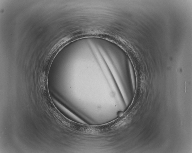 X0000085051265200703191250