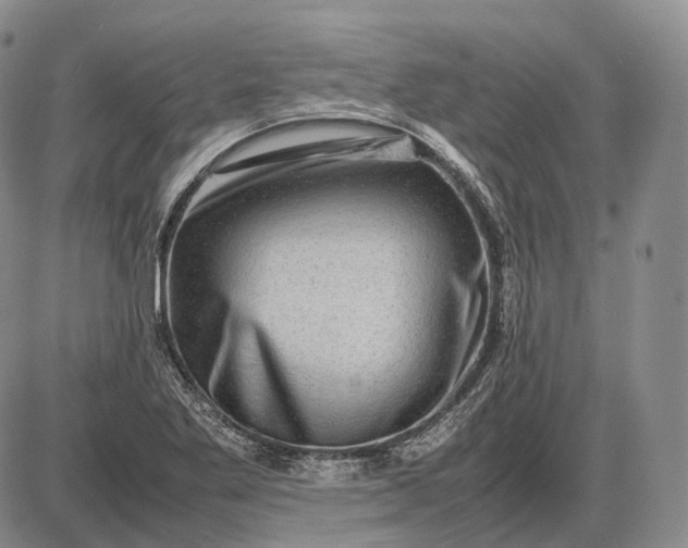X0000085051269200703191249