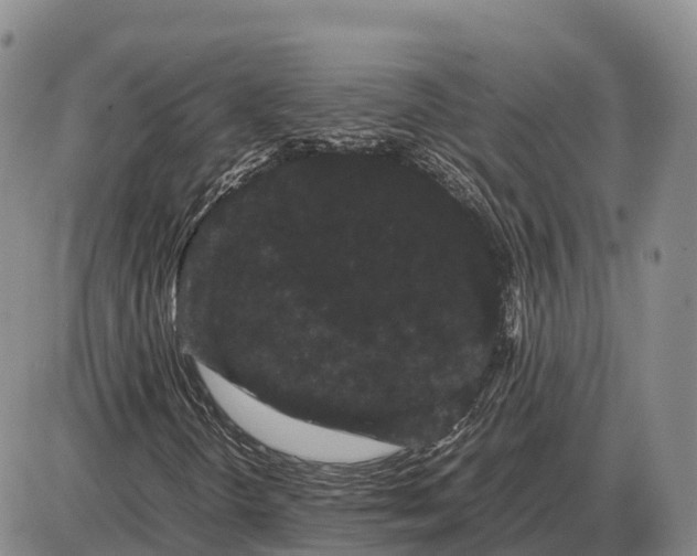 X0000085051298200703191248
