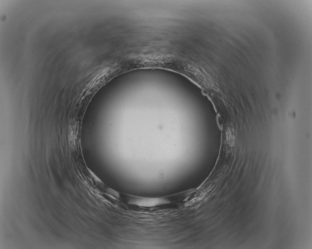 X0000085051300200703191248