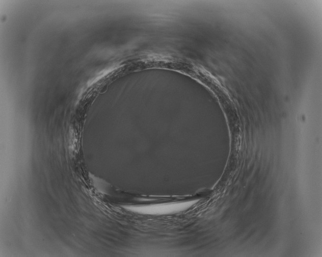 X0000085051303200703191248