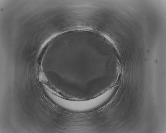 X0000085051310200703191248