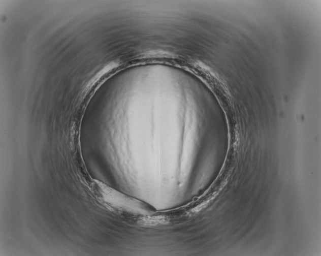 X0000085051313200703191248