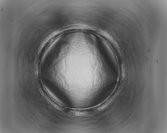 X0000085051318200703191249