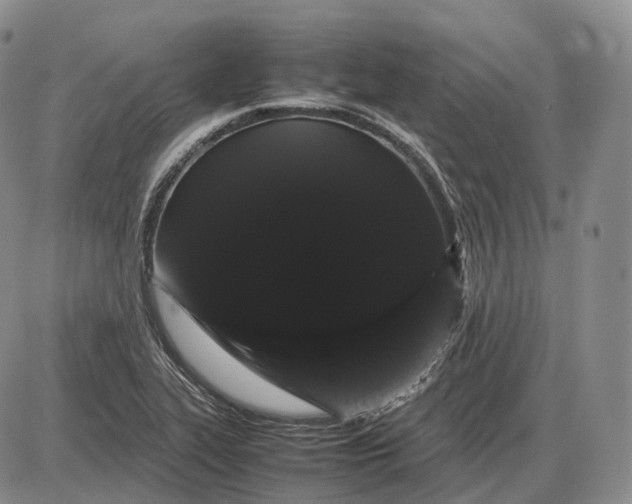 X0000085051319200703191249