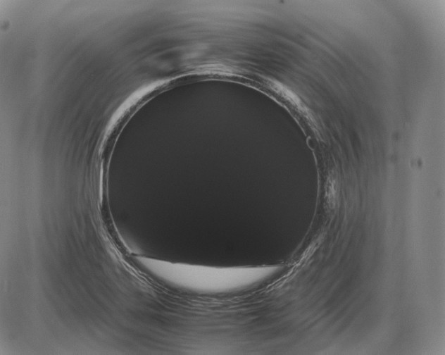 X0000085051323200703191249