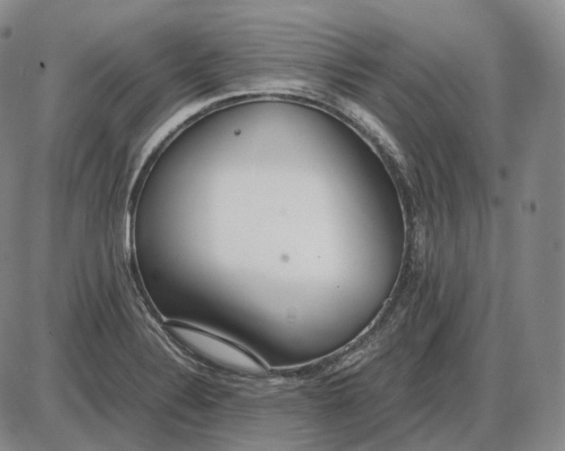 X0000085051324200703191249