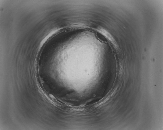 X0000085051325200703191249