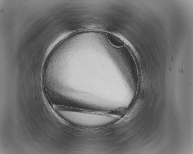 X0000085051333200703191249