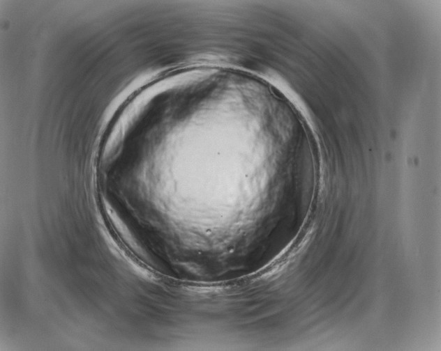 X0000085051341200703191249