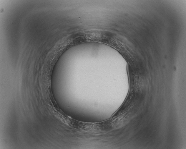 X0000085051345200703191248