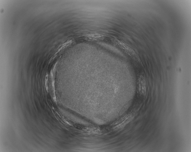 X0000085051346200703191248