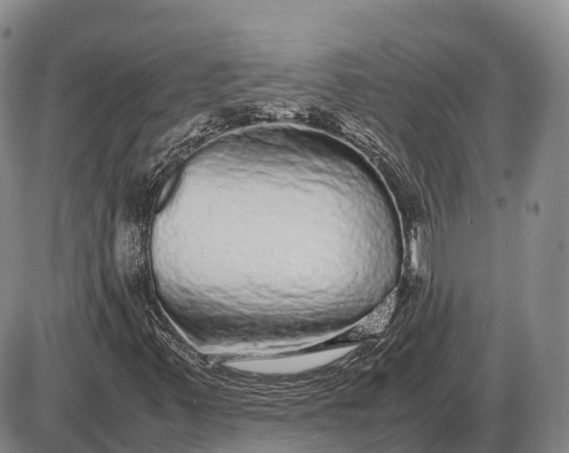 X0000085051347200703191248