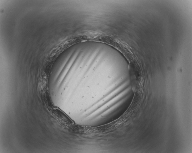 X0000085051349200703191248