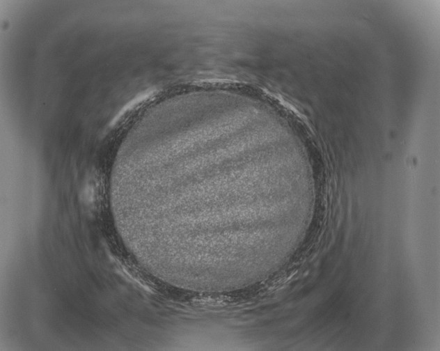 X0000085051351200703191248