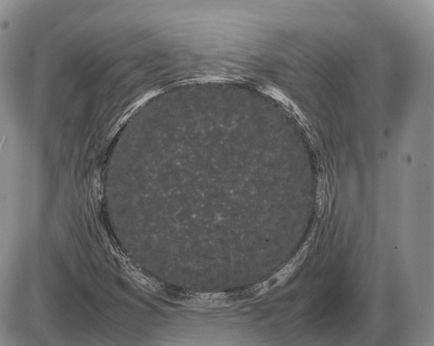 X0000085051353200703191248